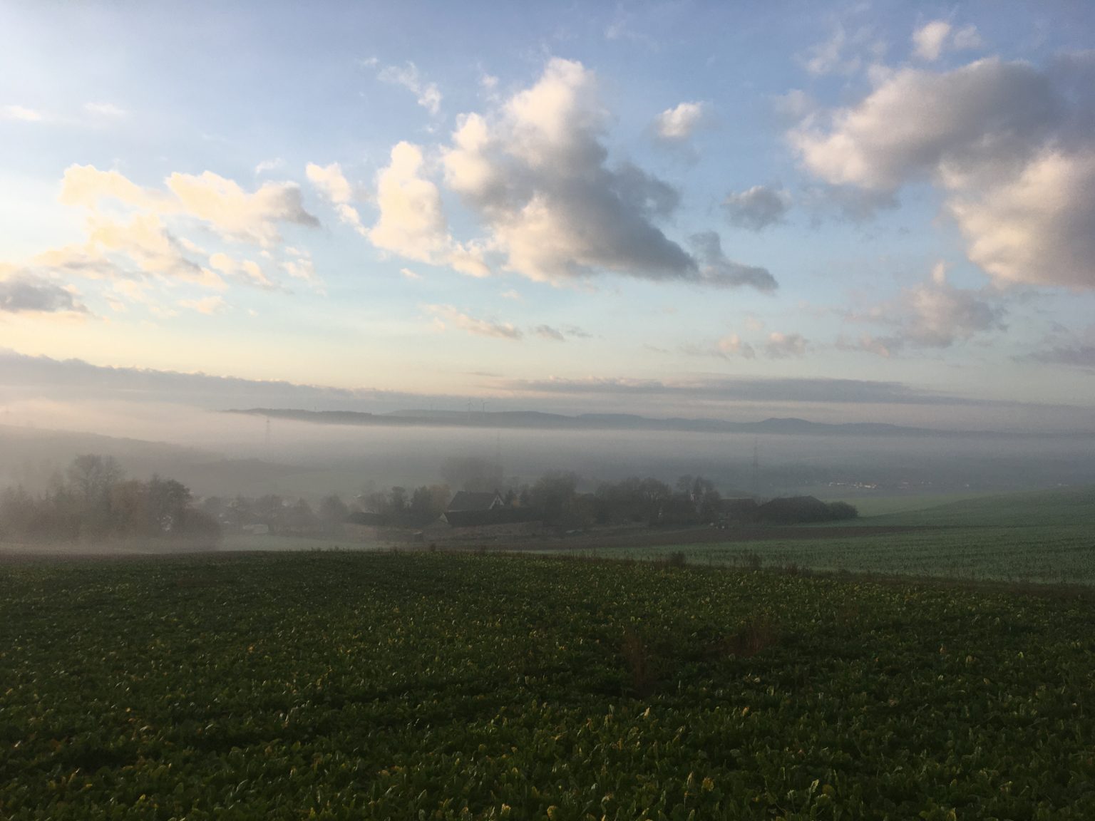 Quirnheim Ortsgemeinde Quirnheim