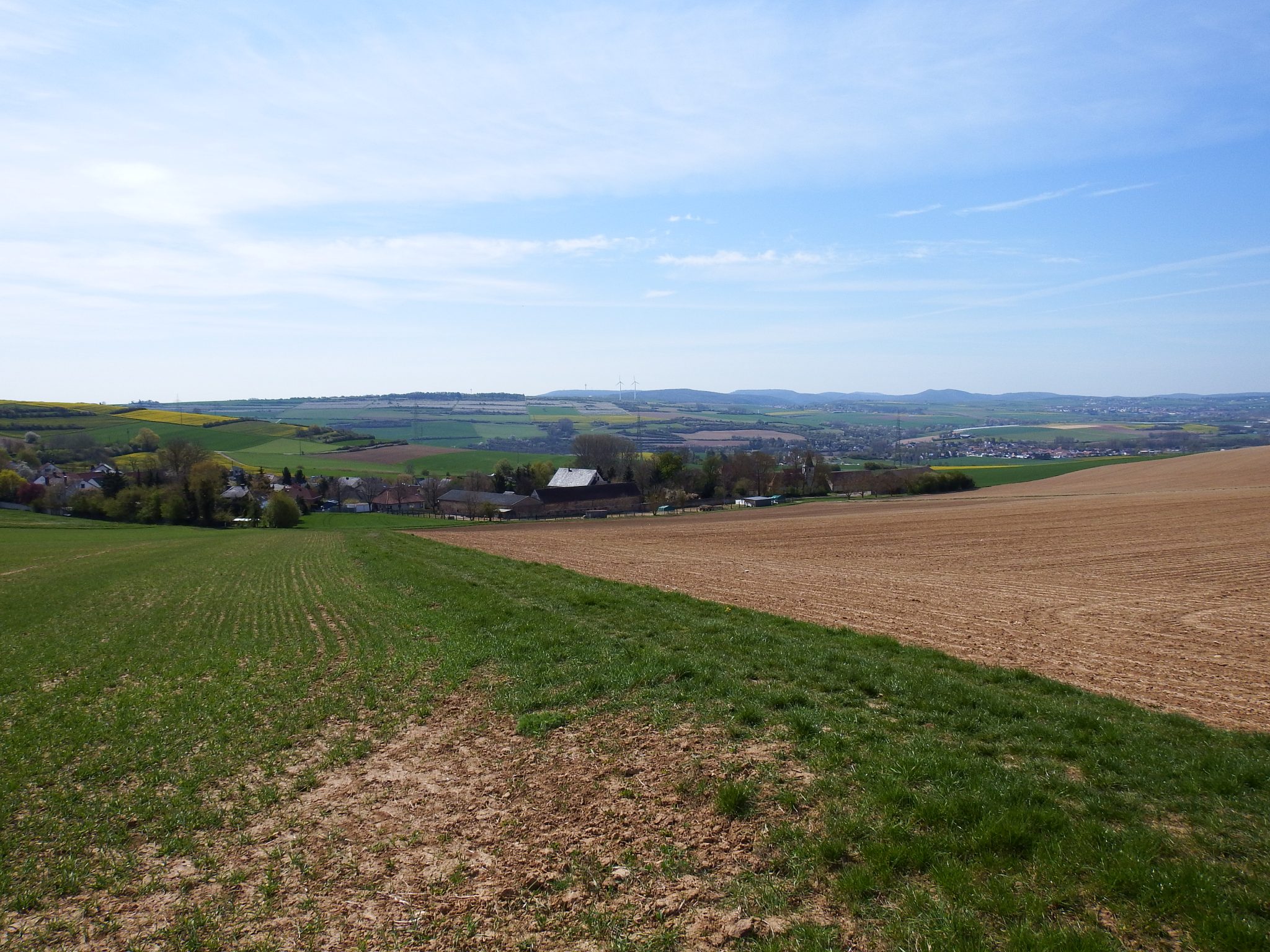Quirnheim Ortsgemeinde Quirnheim